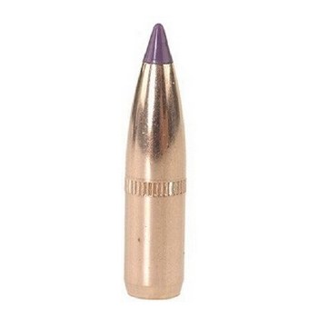 10mm / 180gr JHP Nosler #44885